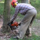 20112308130819-477.jpg